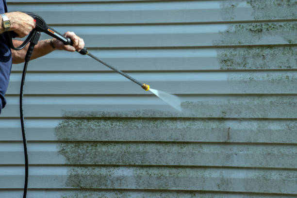 Best Roof Cleaning and Mildew Removal in , VA