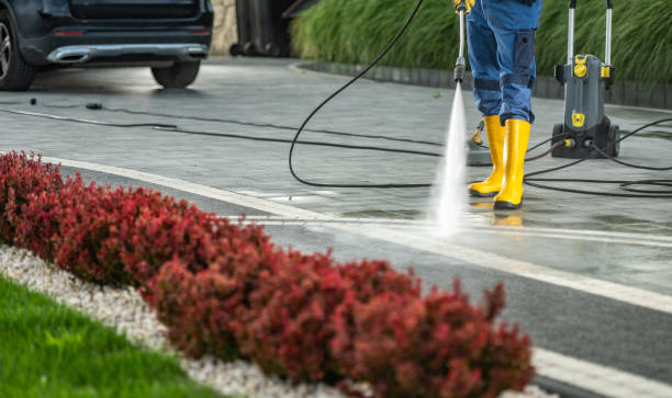 Best Driveway Cleaning and Restoration in , VA